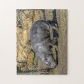 Pygmy hippo puzzle legpuzzel (Verticaal)