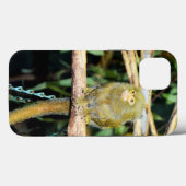 Pygmy Marmoset On Branch, iPhone 13 Coque (Verso (horizontal))