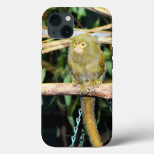 Pygmy Marmoset On Branch, iPhone 13 Coque
