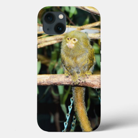 Pygmy Marmoset On Branch, iPhone 13 Coque (Verso)