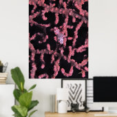 Pygmy Seahorse Poster (Thuiskantoor)