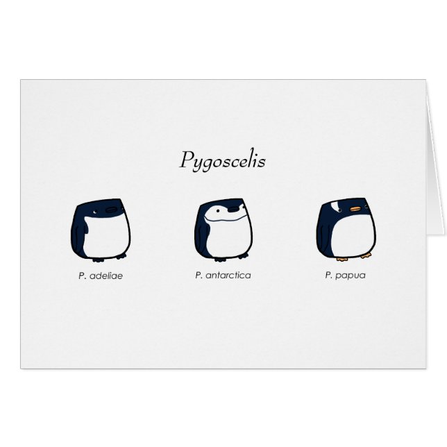 Pygoscelis-kaart (Voorkant Horizontaal)