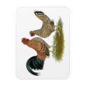 Pyncheon Bantams Magneet (Verticaal)