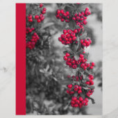 Pyracantha-bes-recept-scheiding (Achterkant)