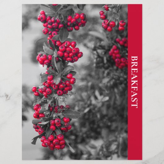 Pyracantha-bes-recept-scheiding (Voorkant)