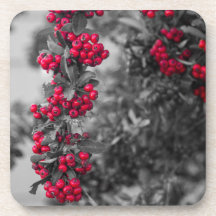 Pyracantha Bes Rode en Grijze Botanische Onderzett