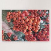 Pyracantha coccinea - Fire Horns Puzzle Legpuzzel (Horizontaal)