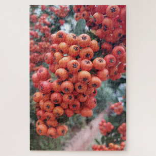 Pyracantha coccinea - Fire Horns Puzzle Legpuzzel