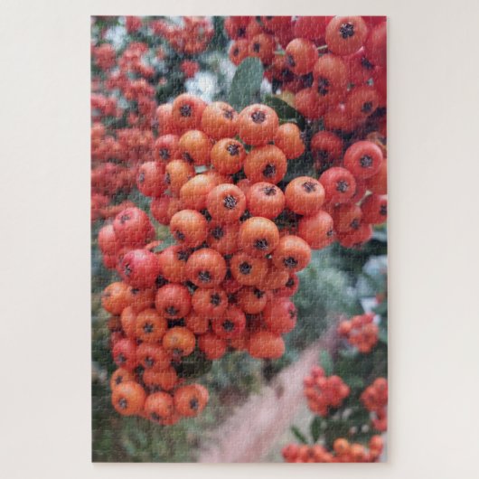 Pyracantha coccinea - Fire Horns Puzzle Legpuzzel (Verticaal)