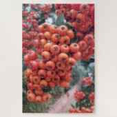 Pyracantha coccinea - Puzzle Fire Horns (Vertical)