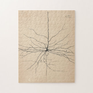 Pyramida Neuron Tekening door Santiago Ramón y Caj Legpuzzel