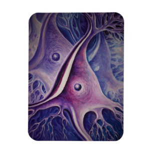 Pyramidaal neuron magneet