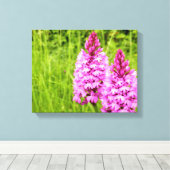 Pyramidal Orchid Canvas Print (Insitu (Houten vloer))