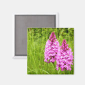 Pyramidal Orchid Magnet Magneet (Voorkant / Achterkant)