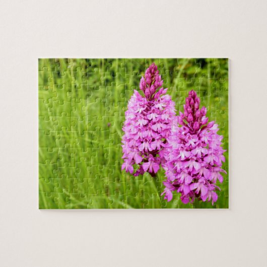 Pyramidale orchidee fotopuzzel legpuzzel (Horizontaal)