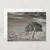 Pyramide Lake, Nevada Briefkaart (Voorkant / Achterkant)