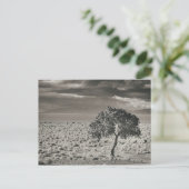 Pyramide Lake, Nevada Briefkaart (Staand voorkant)