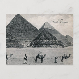 Pyramiden en kamelen, Vintage in Caïro Egypte Briefkaart