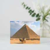 Pyramides de Gizeh, Égypte Carte postale (Debout devant)