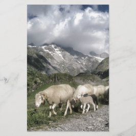 pyreneeën landschap