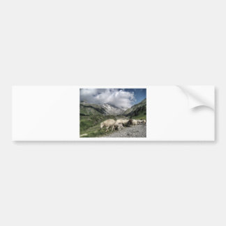 pyreneeën landschap bumpersticker
