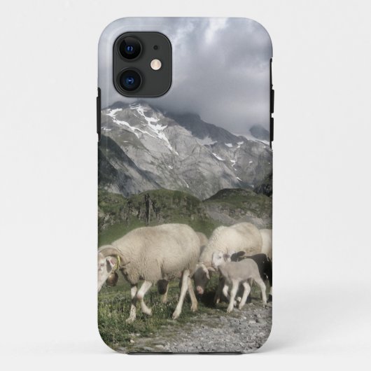 pyreneeën landschap Case-Mate iPhone case (Achterkant)