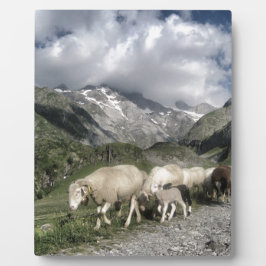 pyreneeën landschap fotoplaat