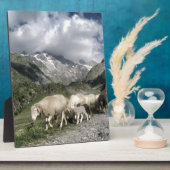 pyreneeën landschap fotoplaat (Zijkant)