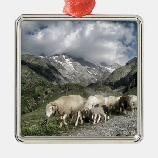 pyreneeën landschap metalen ornament (Voorkant)