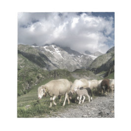 pyreneeën landschap notitieblok