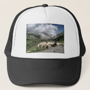 pyreneeën landschap trucker pet