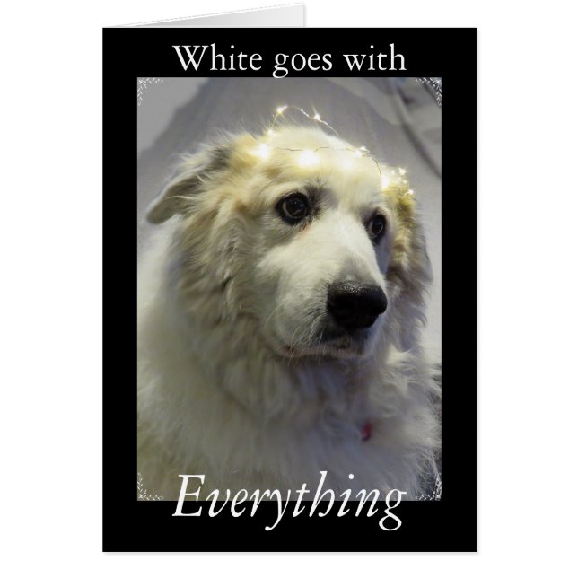 Pyrénées, Géant Doux (Devant)