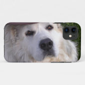 Pyreneese berghond Case-Mate iPhone case (Achterkant (horizontaal))