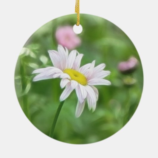 Pyrethrum Daisies - Tanacetumcoccineum Keramisch Ornament (Achterkant)