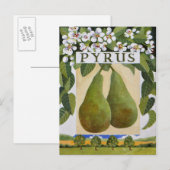 Pyrus Briefkaart (Voorkant / Achterkant)