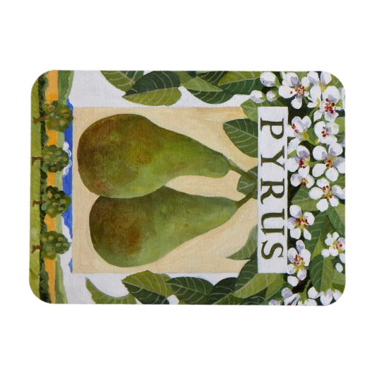 Pyrus Magneet (Horizontaal)
