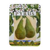 Pyrus Magneet (Verticaal)