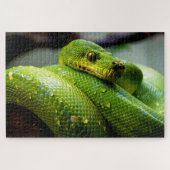Python Arbre Vert, Puzzle (Horizontal)