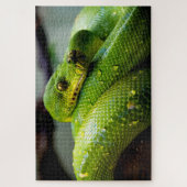 Python Arbre Vert, Puzzle (Vertical)