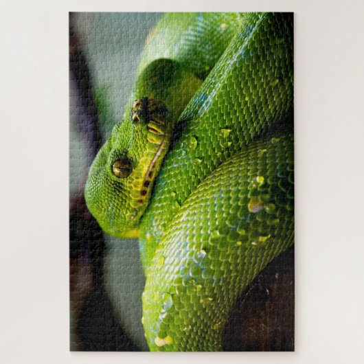 Python Arbre Vert, Puzzle (Vertical)
