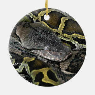 Python molurus bivittatus keramisch ornament