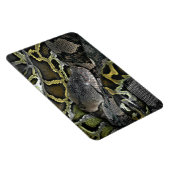 Python molurus bivittatus magneet (Rechterzijde)
