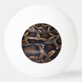 Python Pingpongballen