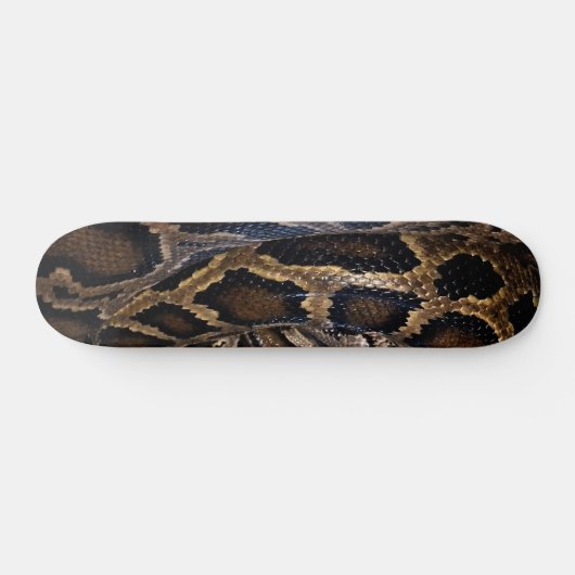 Python Skateboard (Horizontaal)