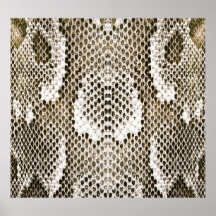 Python Skin: Dierlijk Patroon Ontwerp Poster