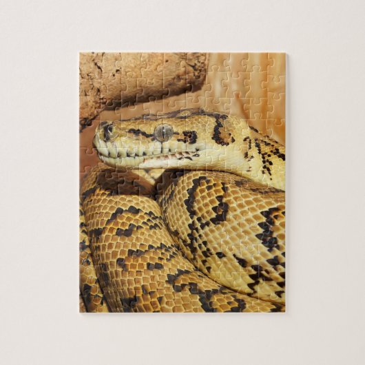 Python slang legpuzzel (Verticaal)