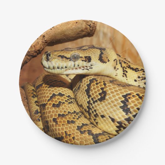 Python slang papieren bordje (Voorkant)