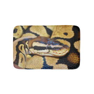 Python van de bal, Gele Buik, krulde omhoog in Bal Badmat