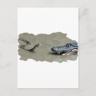 Python versus Alligator Briefkaart