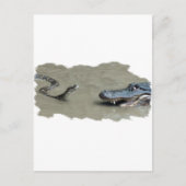 Python versus Alligator Briefkaart (Voorkant)
